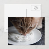 Happy cat briefkaart (Voorkant / Achterkant)