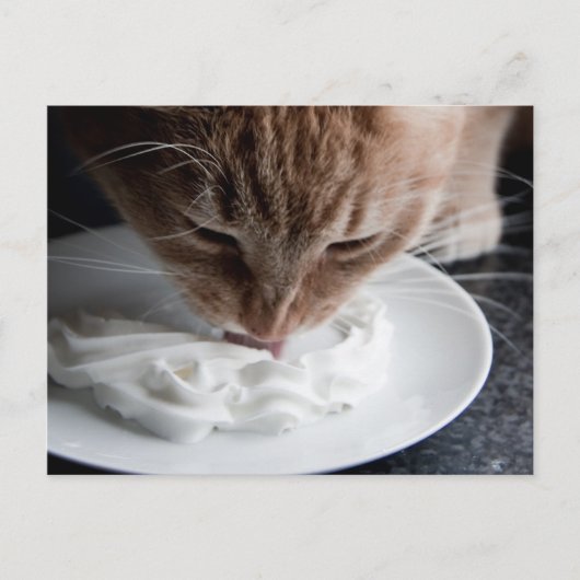 Happy cat briefkaart (Voorkant)