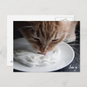 Happy cat briefkaart (Voorkant / Achterkant)