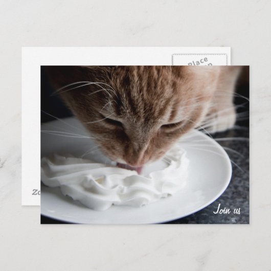 Happy cat briefkaart (Voorkant / Achterkant)