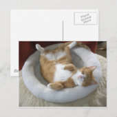 Happy Cat Briefkaart (Voorkant / Achterkant)