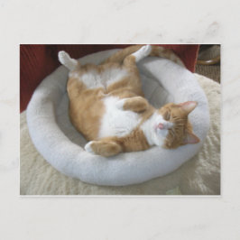 Happy Cat Briefkaart