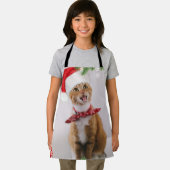 Happy cat in het rode kerstpet schort (Insitu)
