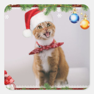 Happy cat in het rode kerstpet vierkante sticker