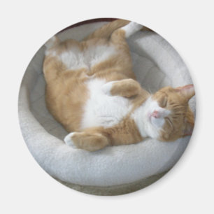 Happy Cat Magneet