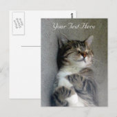  Happy Cat Post-kaart Briefkaart (Voorkant / Achterkant)