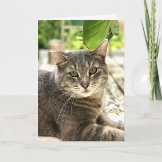 Happy Cat Wenskaart Bedankkaart (Voorkant)