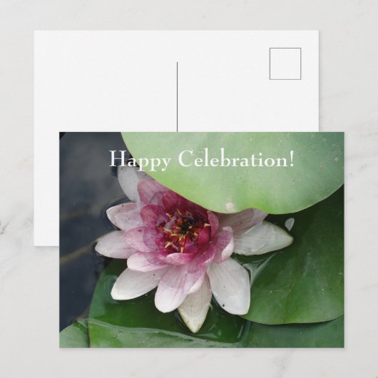 Happy Celebration Aangepaste gelegenheden Bloemen  Briefkaart (Voorkant / Achterkant)