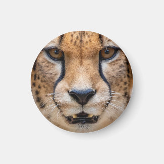 Happy Cheetah Magneet