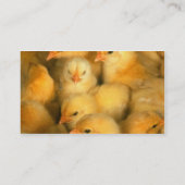 Happy Chicken Boerderij Visitekaartje (Achterkant)