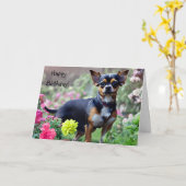 Happy Chihuahua Birthday Kaart (Gele Bloem)