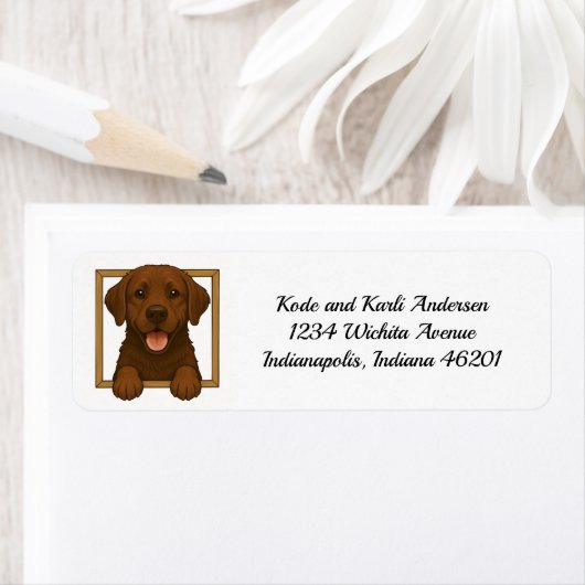 Happy Chocolate Labrador Retriever Retouradres Etiket (Insitu)