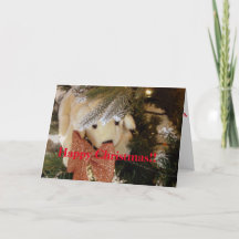 Happy Christmas Soft Speelgoed Puppy