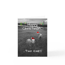 Happy Christmas Two Ewes