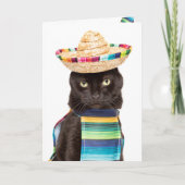 Happy Cinco De Mayo Cat in Sombrerro Humor Feestdagen Kaart (Voorkant)