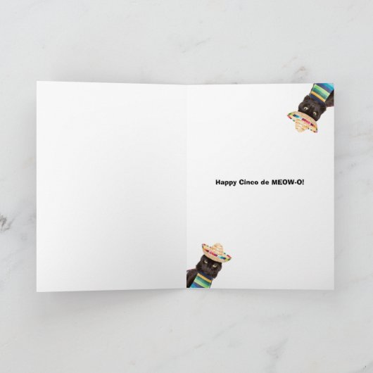 Happy Cinco De Mayo Cat in Sombrerro Humor Feestdagen Kaart (Binnen)