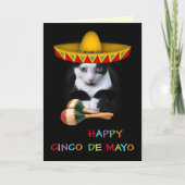 Happy Cinco De Mayo Cat Kaart (Voorkant)