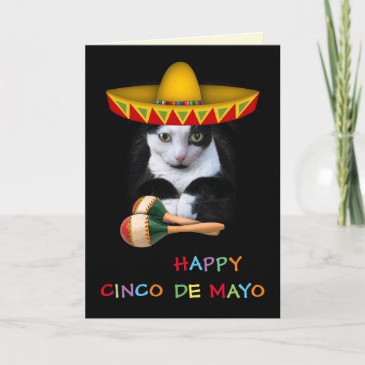 Happy Cinco De Mayo Cat Kaart (Voorkant)