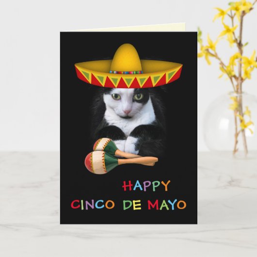 Happy Cinco De Mayo Cat Kaart (Gele Bloem)
