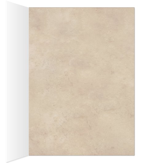 Happy Cinco de Mayo Cat met Mexicaans Pet (Binnen (Rechts))