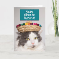 Happy Cinco De Mayo Funny Cat in Sombrero Humor