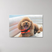 Happy Cockapoo Dog op Pontoon Boat glimlacht Canvas Afdruk (Voorkant)