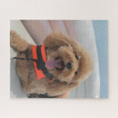 Happy Cockapoo Dog op Pontoon Boat glimlacht Legpuzzel (Horizontaal)