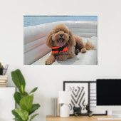 Happy Cockapoo Dog op Pontoon Boat glimlacht Poster (Thuiskantoor)