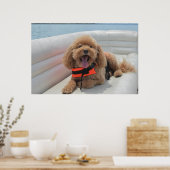 Happy Cockapoo Dog op Pontoon Boat glimlacht Poster (Keuken)