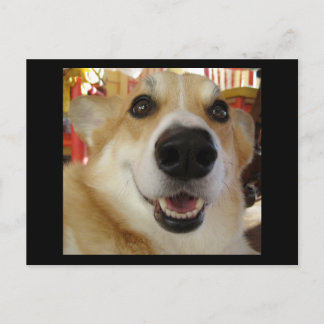 Happy Corgi briefkaart