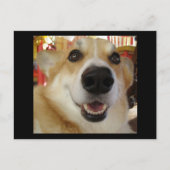 Happy Corgi briefkaart (Voorkant)