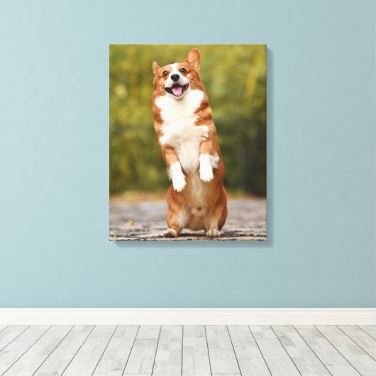 Happy Corgi Puppy Standing Photo Canvas Afdruk (Insitu (Houten vloer))