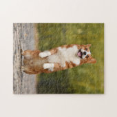 Happy Corgi Puppy Standing Photo Legpuzzel (Horizontaal)
