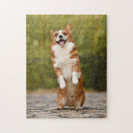 Happy Corgi Puppy Standing Photo Legpuzzel