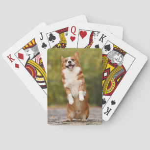 Happy Corgi Puppy Standing Photo Pokerkaarten