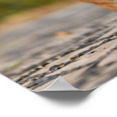 Happy Corgi Puppy Standing Photo Poster (Hoek)