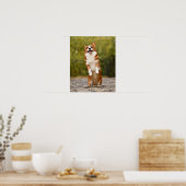 Happy Corgi Puppy Standing Photo Poster (Keuken)
