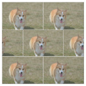 Happy Corgi Stof (Swatch)