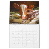 Happy Cows ~ 2013 Cow Calendar Kalender (Mar 2026)