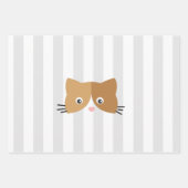 Happy Curious Kittens-oppakpapier Inpakpapier Vel (Voorkant 2)
