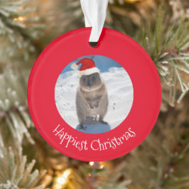 Happy Cute Merry kerst Quokka Beach Australië Ornament