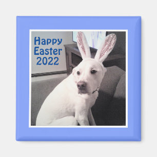 Happy Cute Puppy Dog met paasbrood blauw Magneet