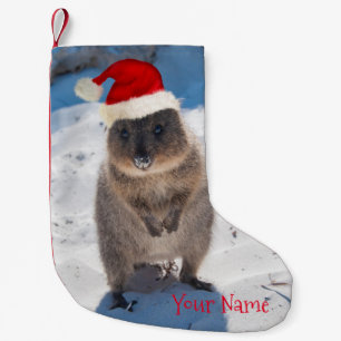 Happy & Cute Quokka op het kerstfeest Kleine Kerstsok
