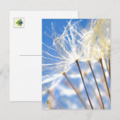 Happy, Dancing, Dandelion Poof, Stories in Nature Briefkaart (Voorkant / Achterkant)
