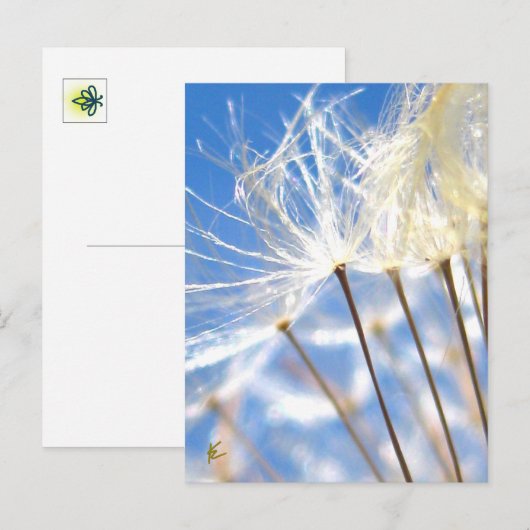 Happy, Dancing, Dandelion Poof, Stories in Nature Briefkaart (Voorkant / Achterkant)