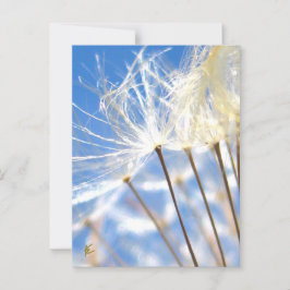 Happy, Dancing, Dandelion Poof, Stories in Nature Briefkaart