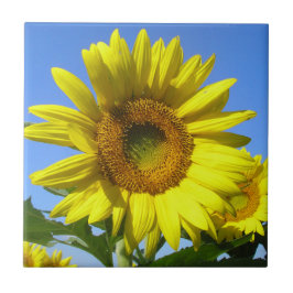 "Happy Day" Tegeltje