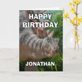 Happy Dinosaur Jurassic Oerwoud Kaart (Gele Bloem)