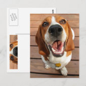 Happy Dog Briefkaart (Voorkant / Achterkant)