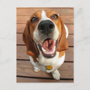 Happy Dog Briefkaart